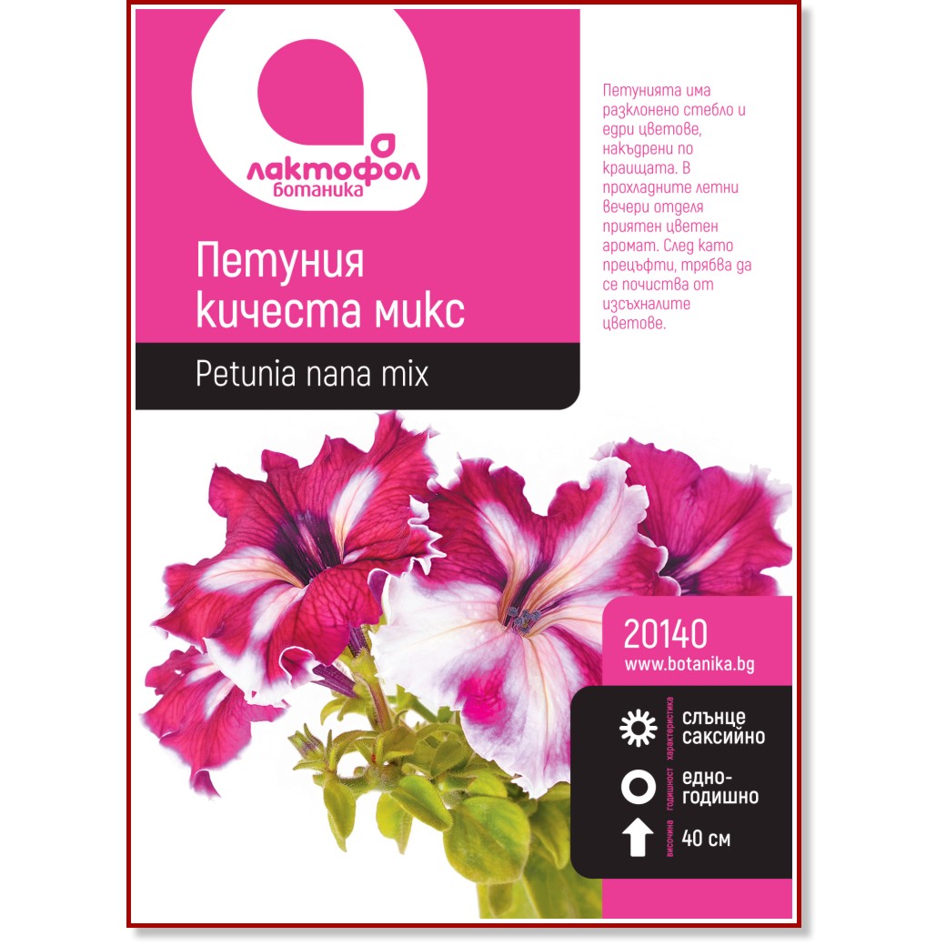 Семена от кичеста Петуния - микс от цветове Семена от кичеста Петуния - микс от цветове -