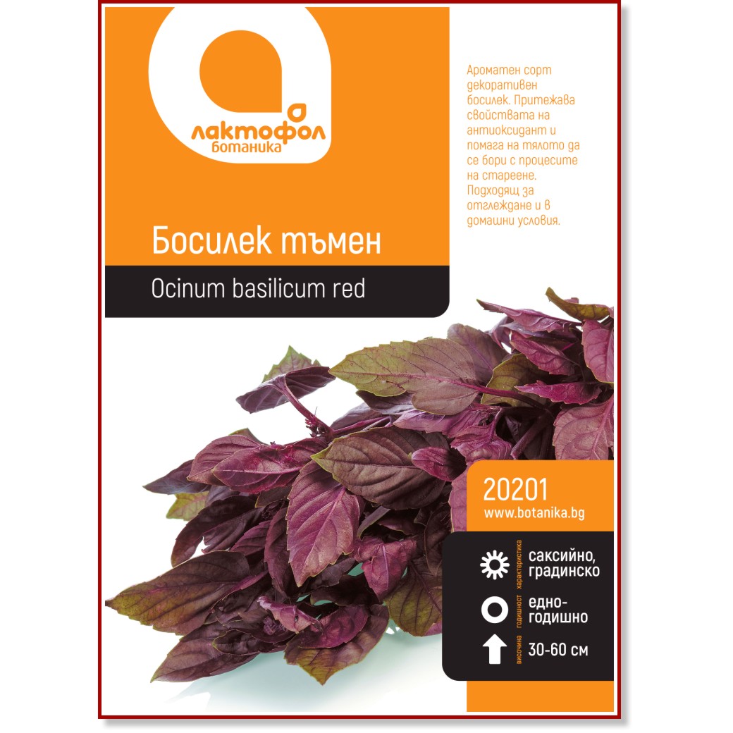 Семена от тъмен Босилек Семена от тъмен Босилек -