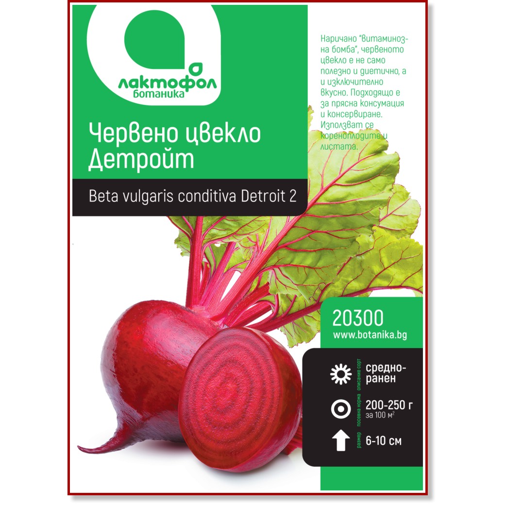 Семена от червено Цвекло - Детройт Семена от червено Цвекло - Детройт -