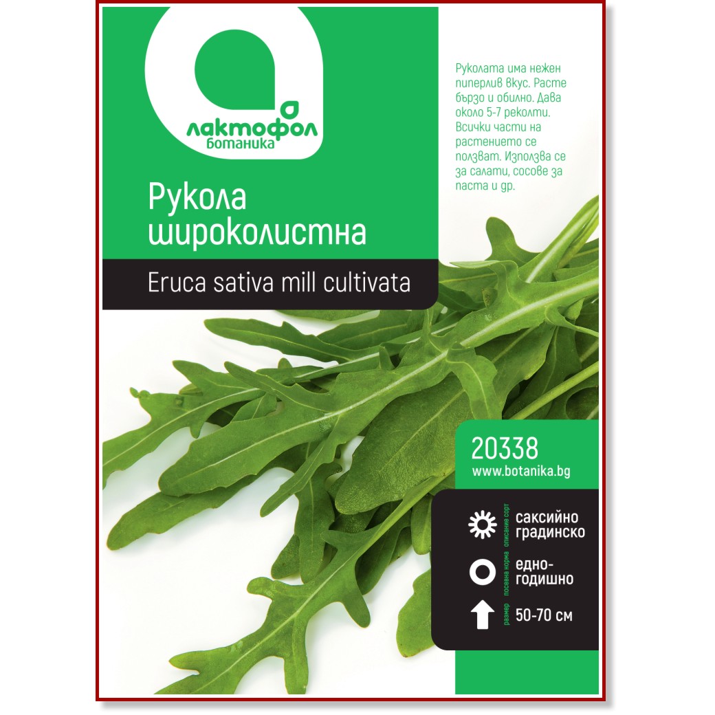 Семена от широколистна Рукола Семена от широколистна Рукола -