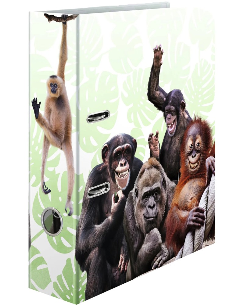   2  HERMA -  -   A4      7 cm   Animals - 