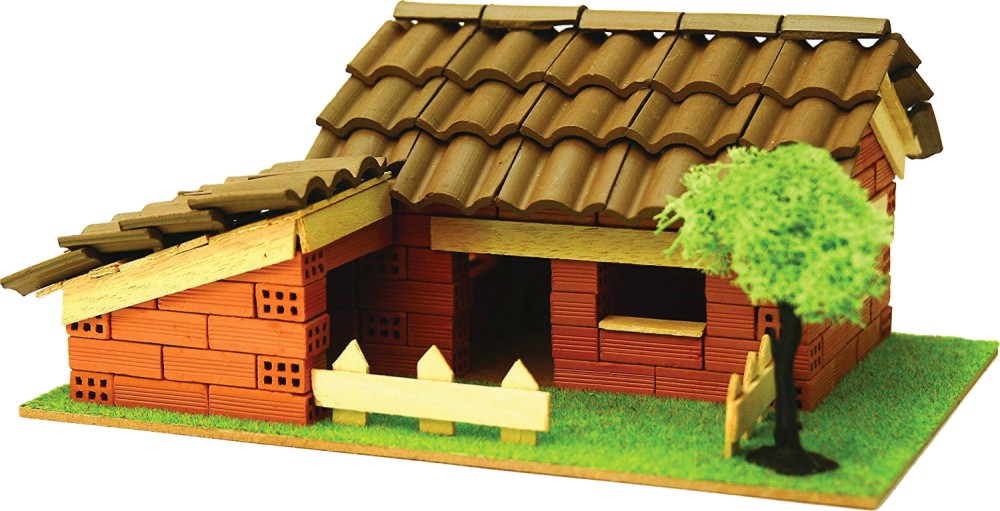 ���� - ������ �������� ����� �� �������� �������� �� ������� "K.I.D." - �����