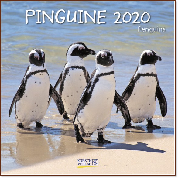  - Penguins 2020 - 