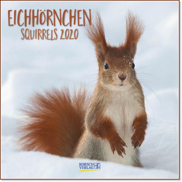   - Squirrels 2020 - 
