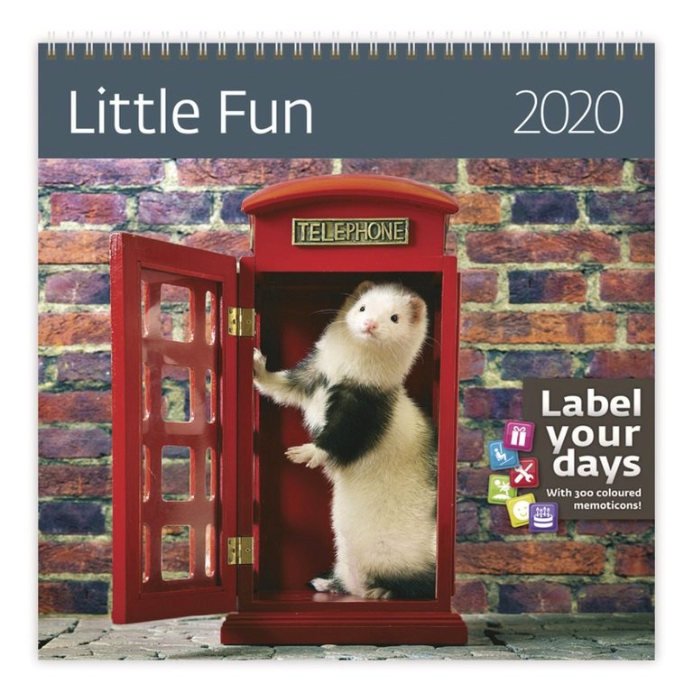   - Little Fun 2020 - 