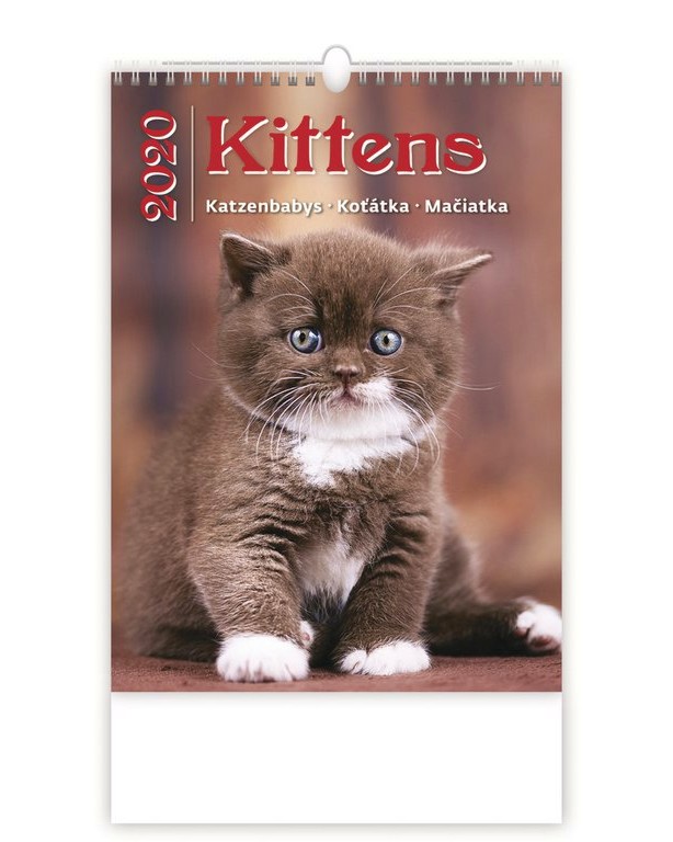   - Kittens 2020 - 