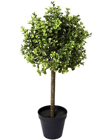 Декоративно дърво - Чемшир Декоративно дърво - Чемшир - 58 cm -