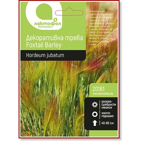 Семена от Декоративна трева - Foxtail Barley Семена от Декоративна трева - Foxtail Barley - 1 g от серията Ботаника -
