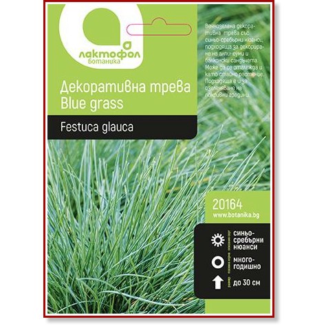 Семена от Декоративна трева Лактофол - Blue grass Семена от Декоративна трева Лактофол - Blue grass - 1 g от серията Ботаника -