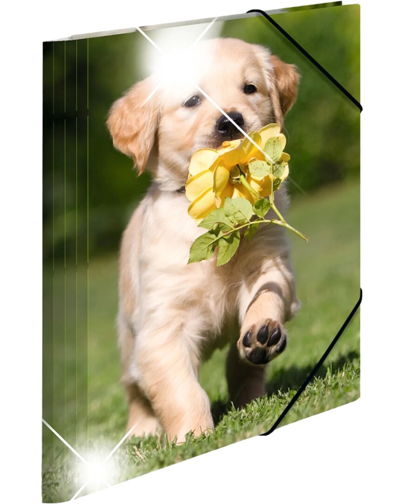 ����� � ������ HERMA - ������ - �� ������ A4 �� ������� Animals - 