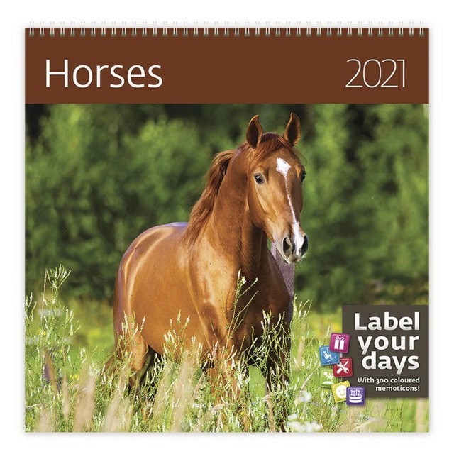   - Horses 2021 - 
