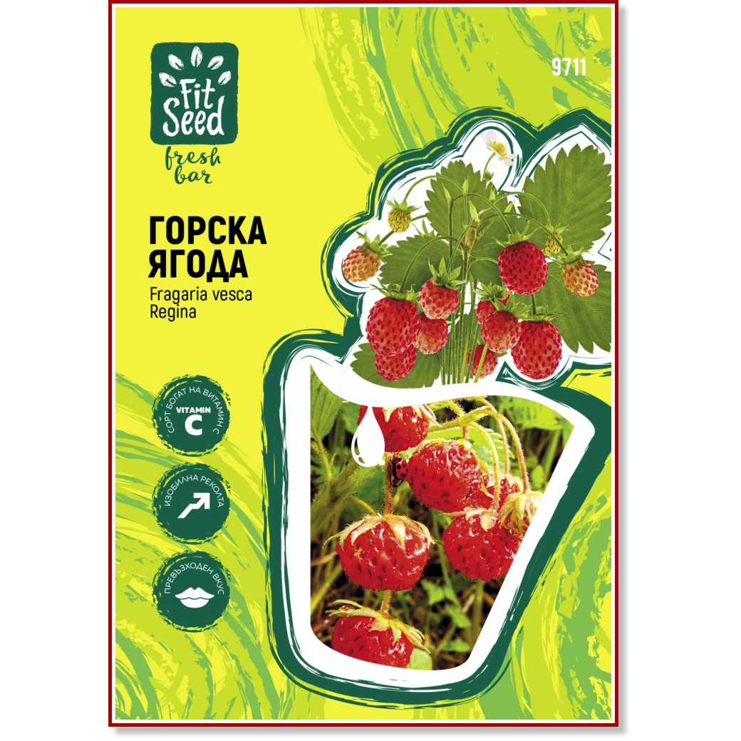 ������ �� ������ ����� - Fragaria vesca Regina - 
