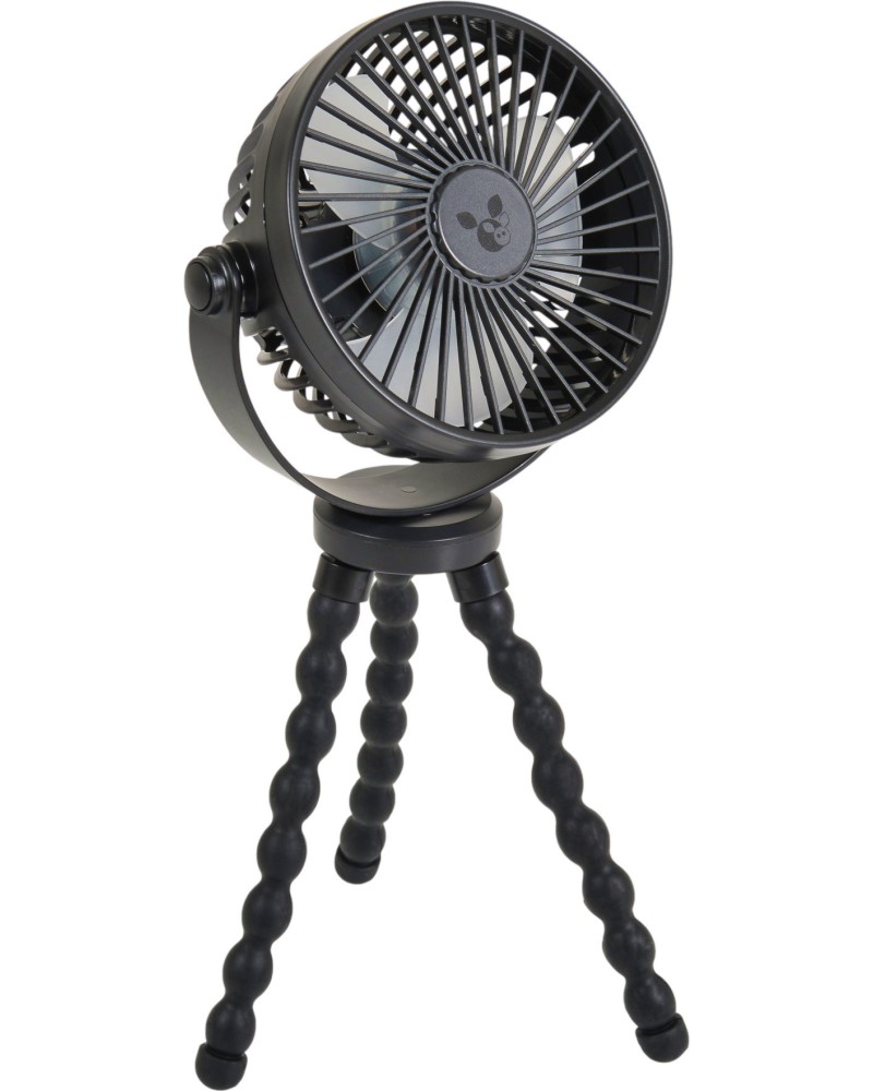      Cangaroo Vento - 
