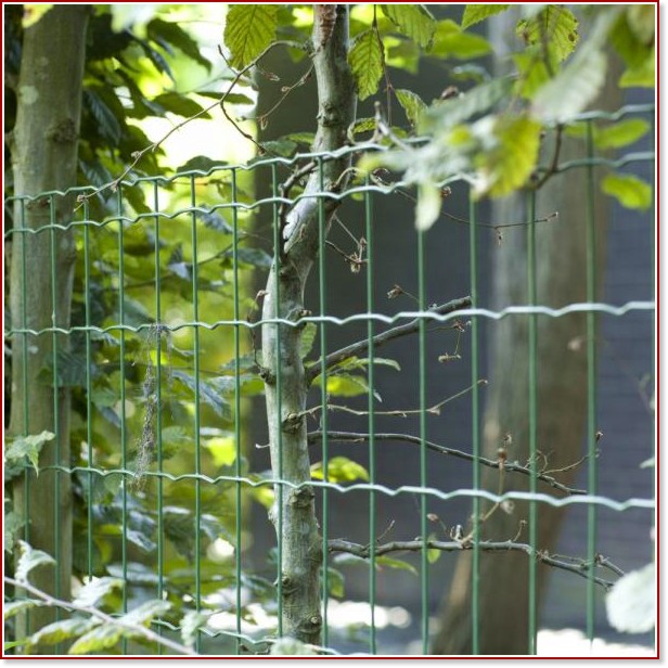 Оградна мрежа Betafence Pantanet Essential Оградна мрежа Betafence Pantanet Essential - С дължина 10 и 25 m -