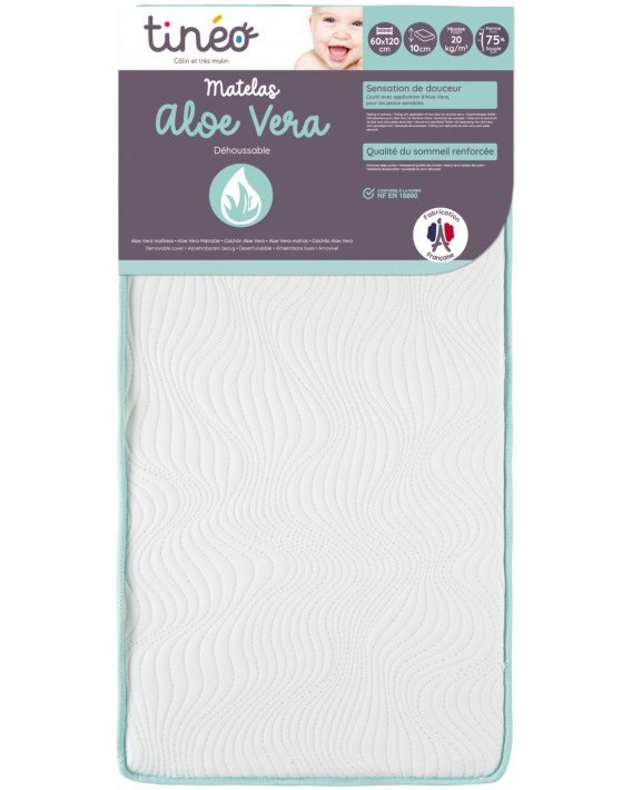     Tineo Aloe Vera - 60 / 120 / 10 cm - 