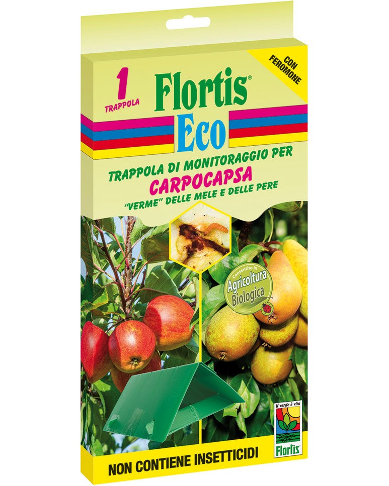        Flortis - 