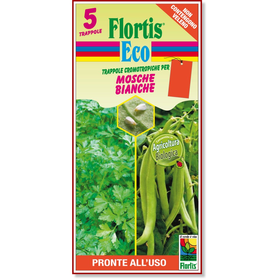     Flortis - 5  - 