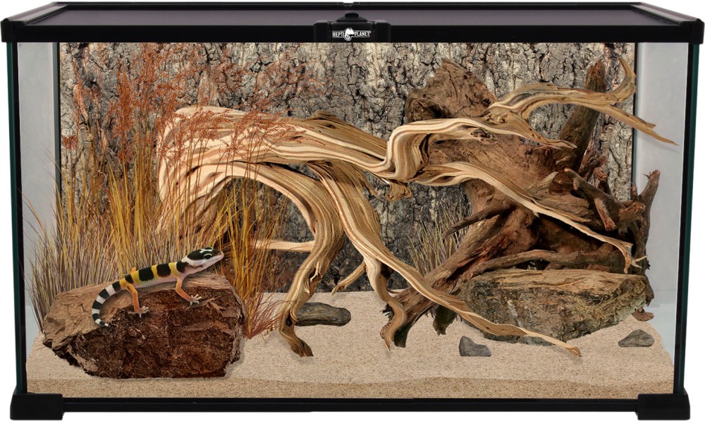 Терариум REPTI PLANET Mini Glass Reptite Habitat Терариум REPTI PLANET Mini Glass Reptite Habitat - 50.5 / 30.5 / 25 cm - продукт