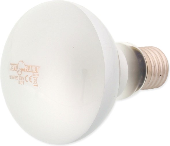 Дневна крушка за терариум REPTI PLANET Daylight Frosted Дневна крушка за терариум REPTI PLANET Daylight Frosted - 25 ÷ 100 W - продукт
