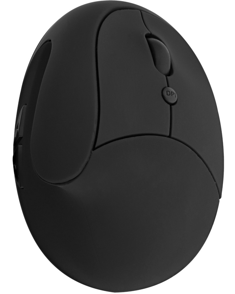    T'nB -  6    Ergo - 