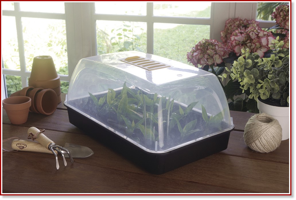 ����� ������ � ���������� Nortene Rapid grow - 