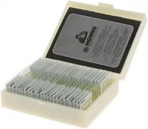 M����������� ��������� ��������� � ��������� - Konus - 25 ���� - 