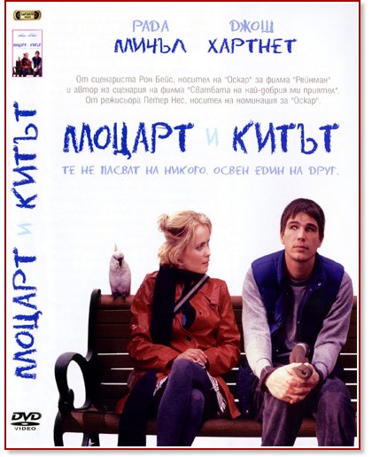 ������ � ����� - ����