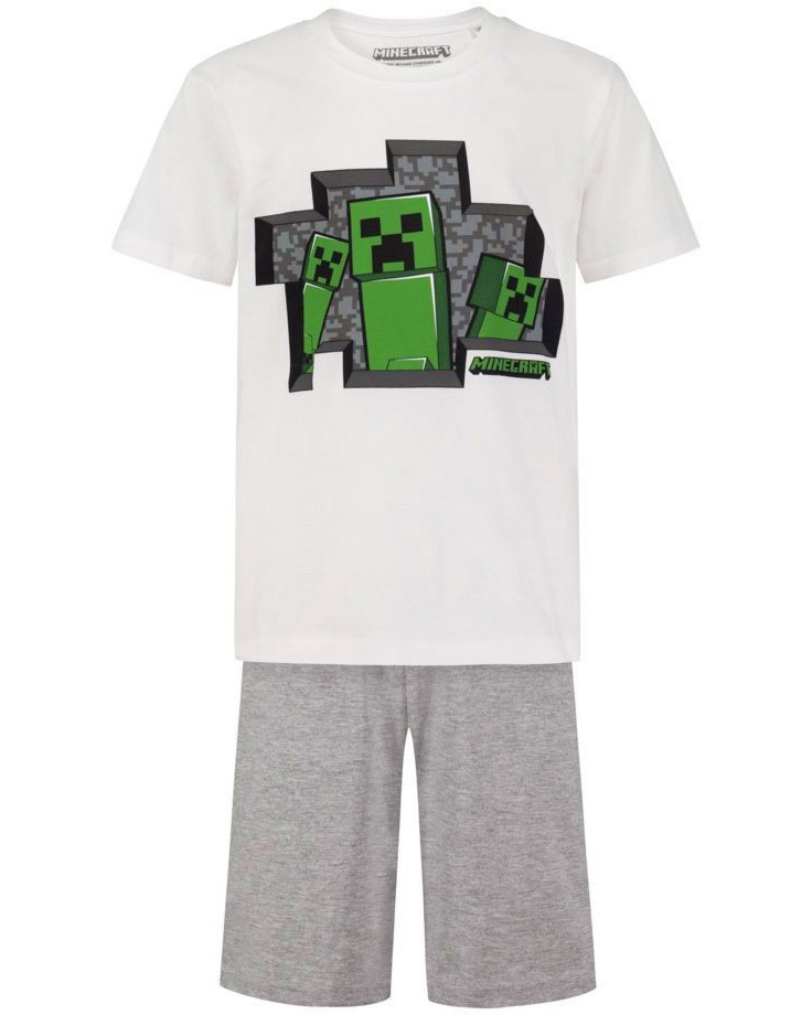   Minecraft Creepers -   Minecraft - 