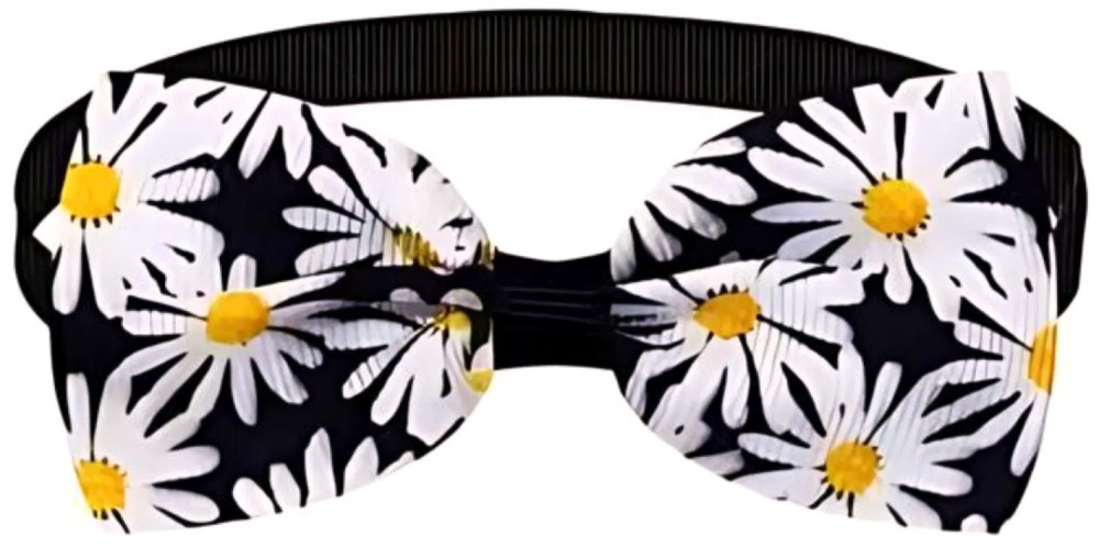 ��������� �� ������ MINA PET - ��������