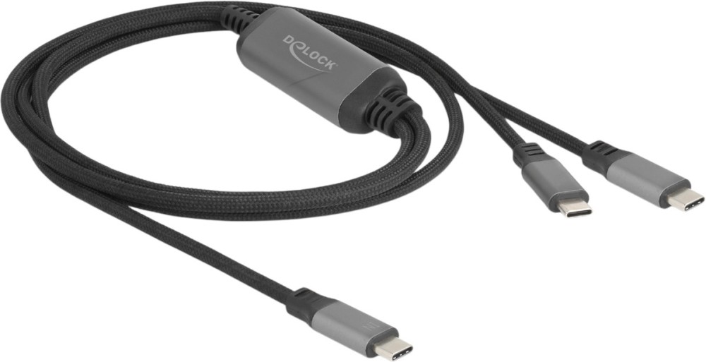  USB-C male  2 x USB-C male DeLock - 1.2 m - 