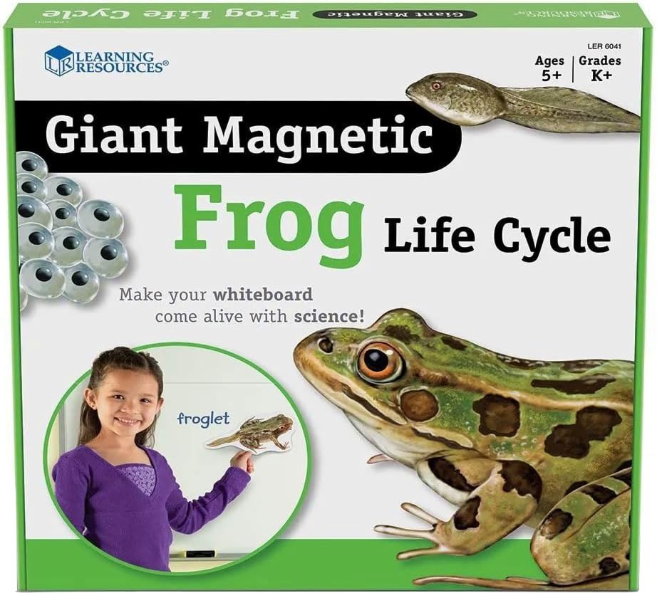     Learning Resources -      -  