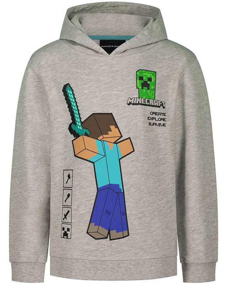   -   Minecraft - 