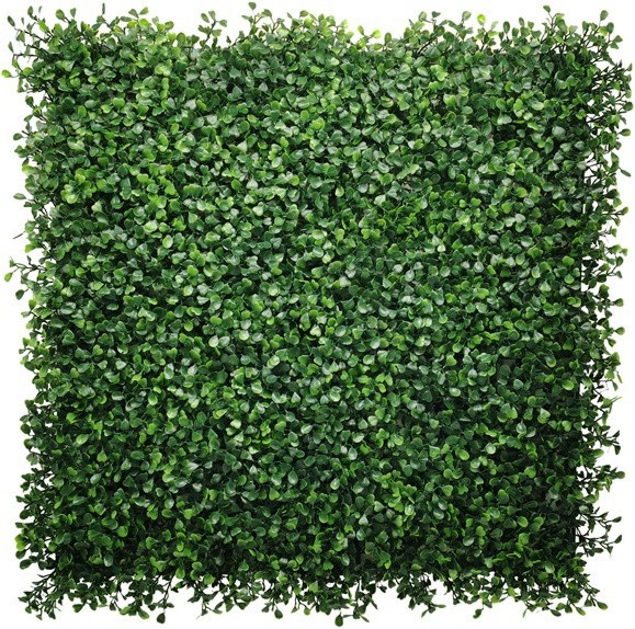     My Garden Boxwood CCGA145 - 50 x 50 cm - 