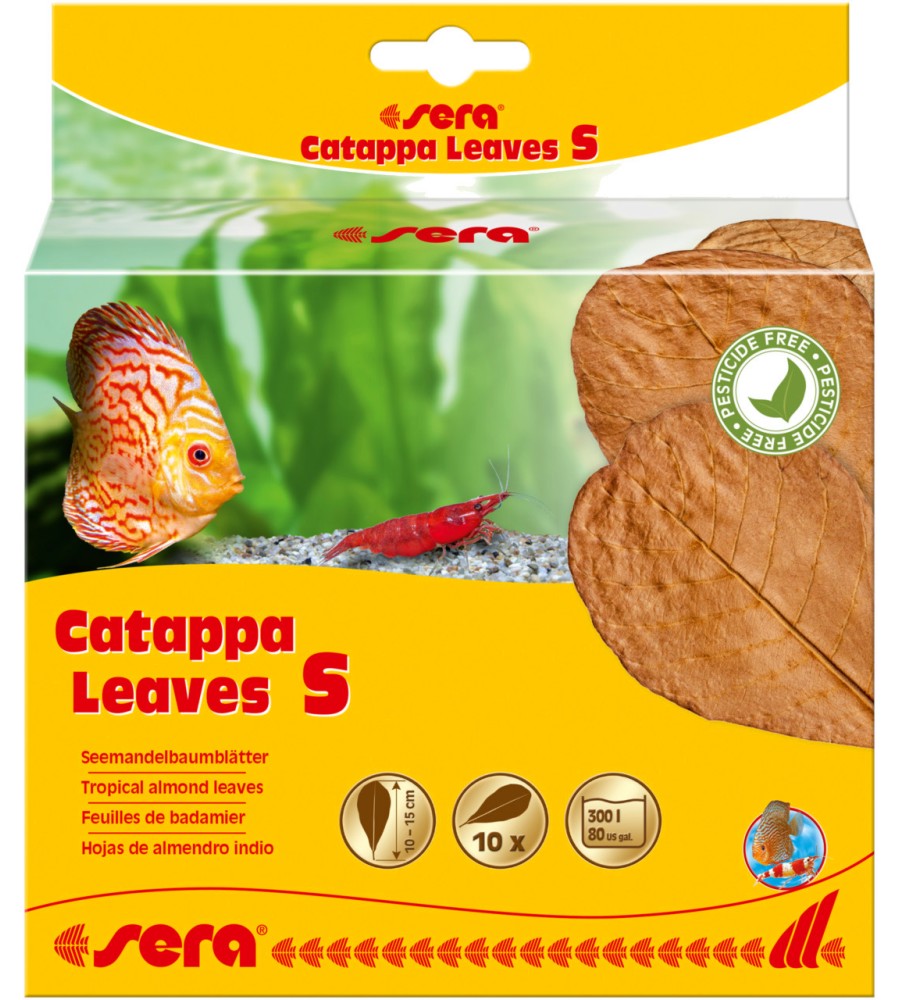     sera Catappa Leaves S - 10  - 