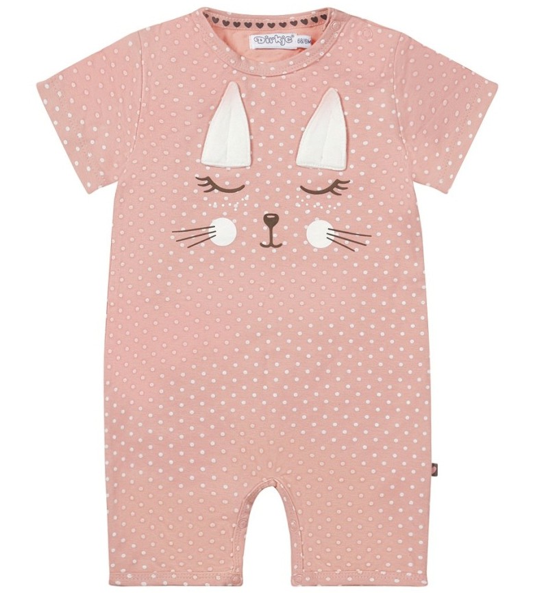 ������� ��������� Dirkje - �������