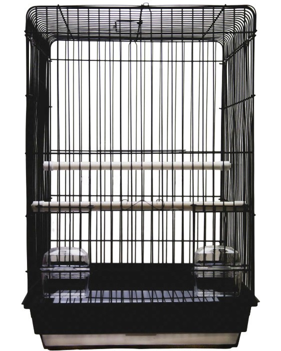 ������ �� ����� ����� MINA PET - 40 / 58 / 40 cm, � ��������� - �������