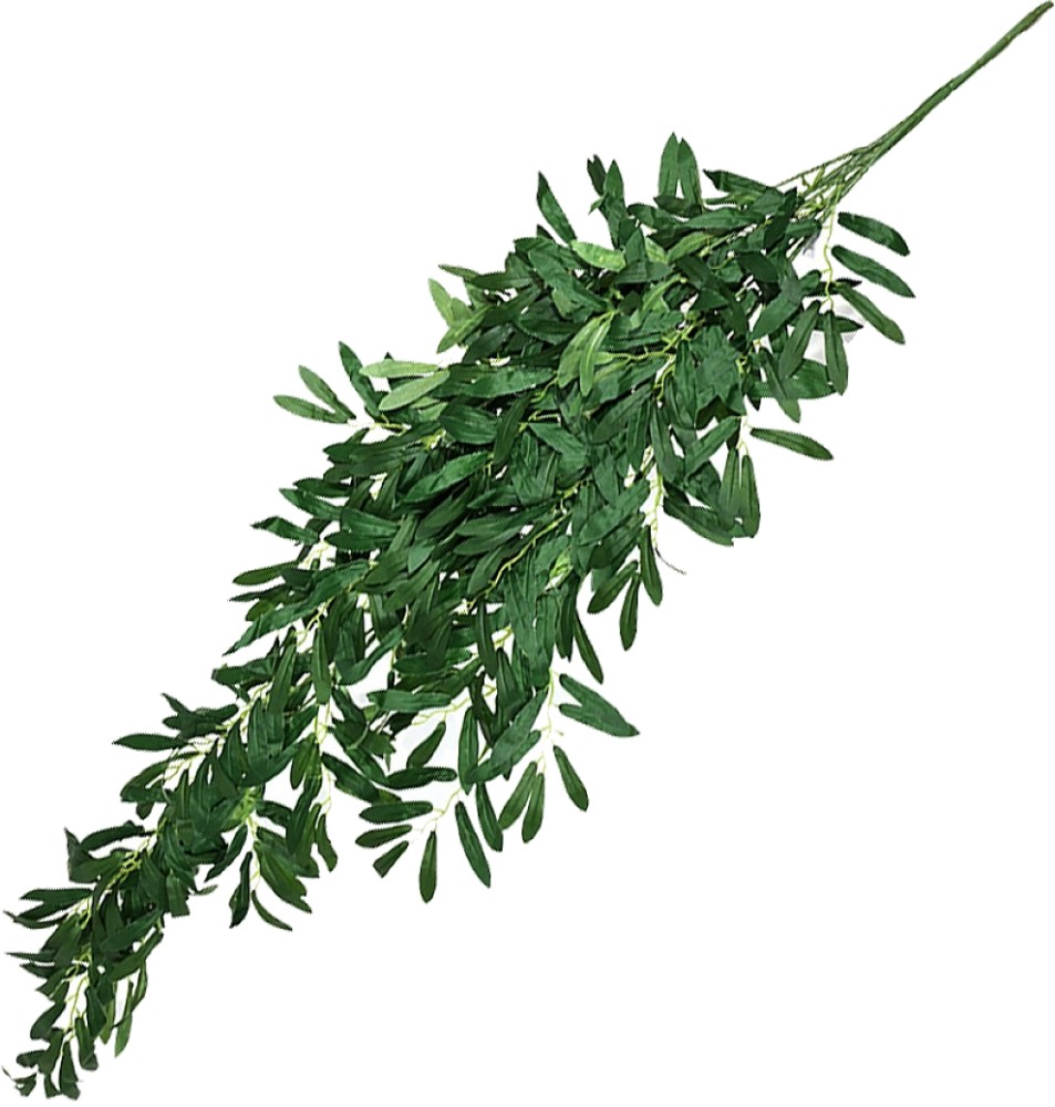   Ficus - 130 cm - 