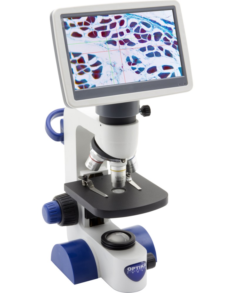   OPTIKA B-61V -  7" LCD     - 