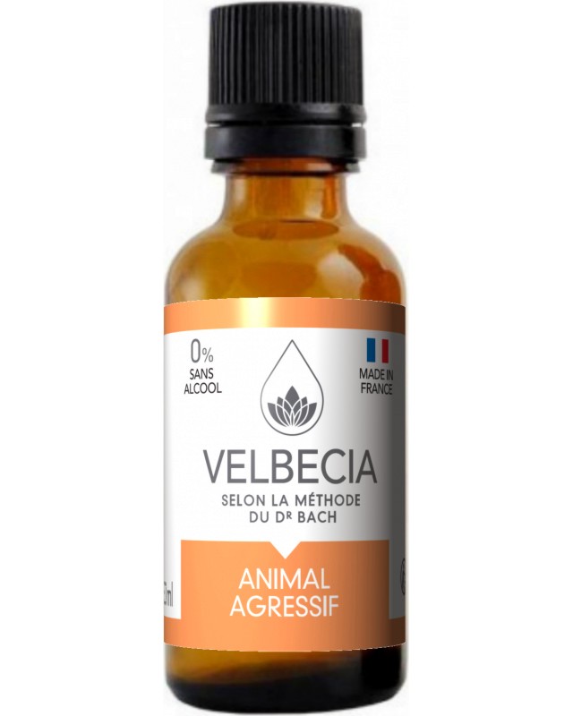         Velbecia Bach Flowers - 30 ml - 