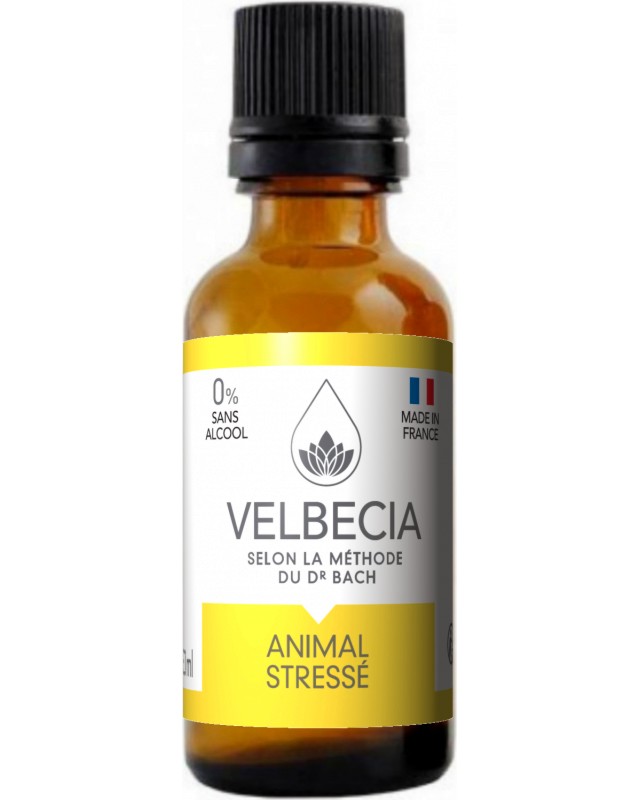         Velbecia Bach Flowers - 30 ml - 