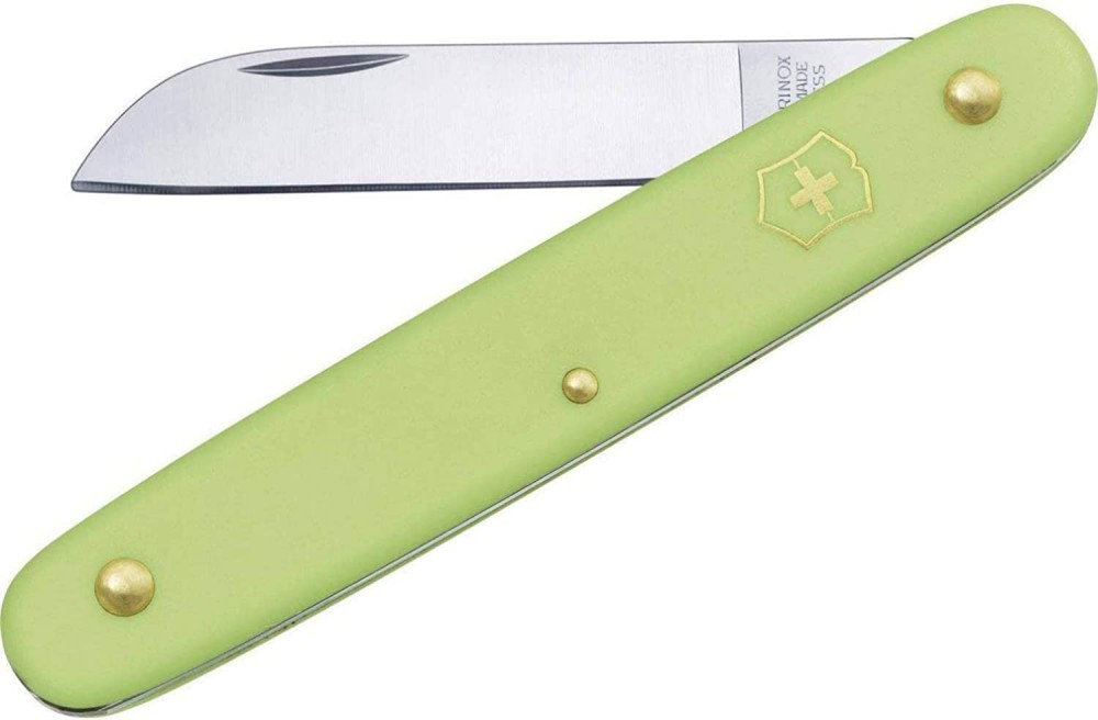      Victorinox - 