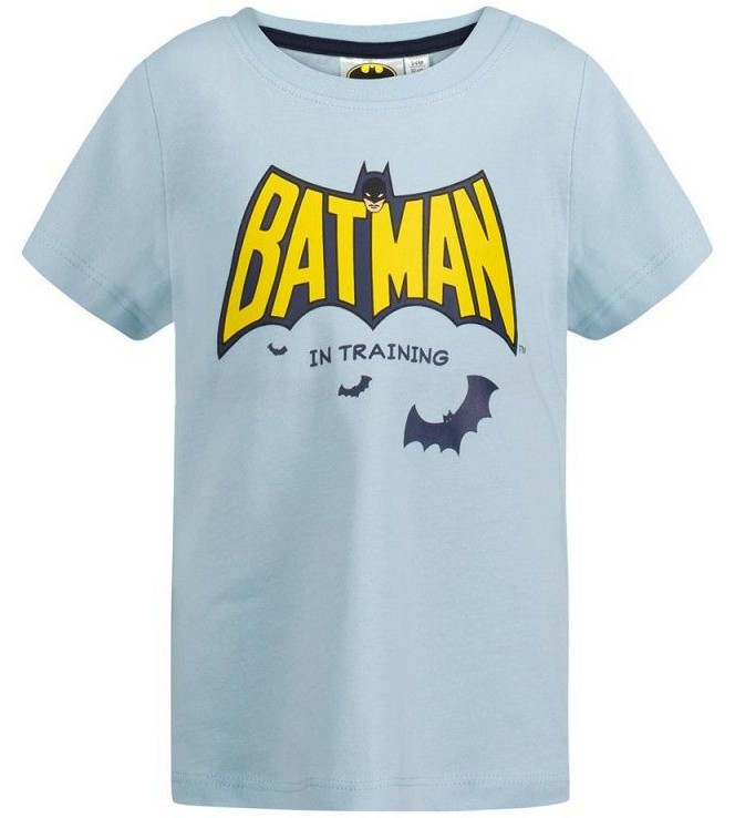   Batman - 100% ,    - 