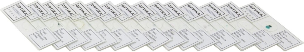 ������ ������������ ��������� ���������� ���������� I - 12 ���� - 