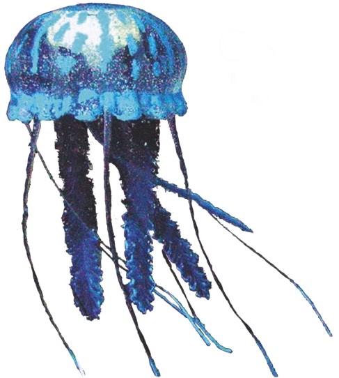 Декорация за аквариум Nobby Jellyfish Декорация за аквариум Nobby Jellyfish - ∅ 10 cm - продукт