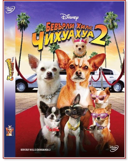    2 - 