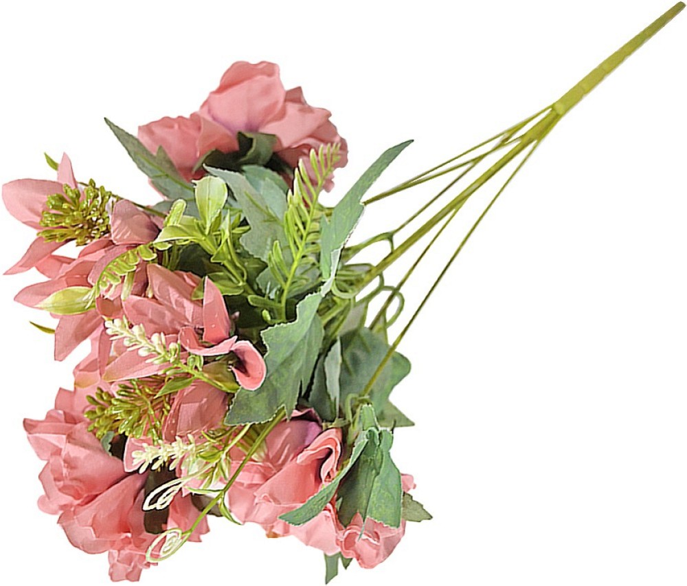   Hibiscus Delight -  - 45 cm - 
