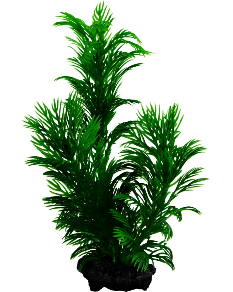 ���������� �������� �� �������� Tetra Green Cabomba - 15 � 23 cm - �������