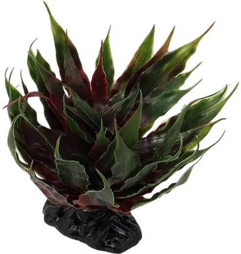 ���������� �������� �� �������� REPTI PLANET Agave Succulent - 18 cm - �������