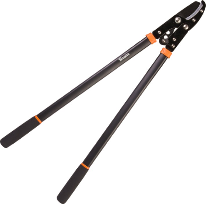     Bradas KT-V1221 -   V - 
