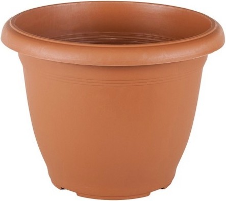   My Garden Villa flower - 